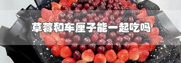 草莓和车厘子能一起吃吗