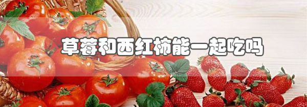 草莓和西红柿能一起吃吗