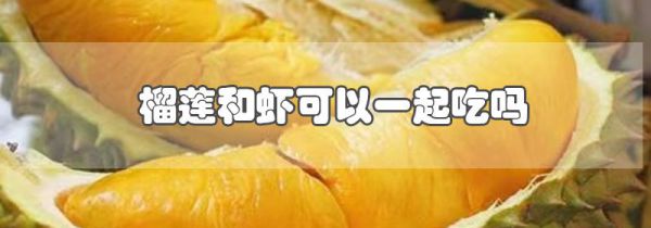 榴莲和虾可以一起吃吗