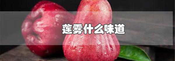 莲雾什么味道