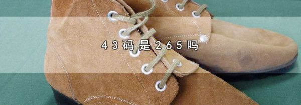 43码是265吗