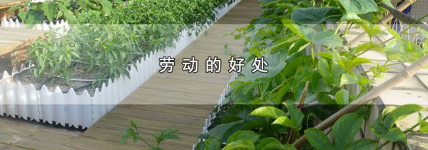 劳动的好处