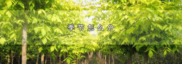 季节怎么分