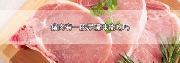 猪肉有一股尿骚味能吃吗