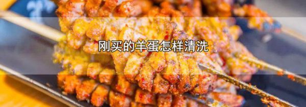 刚买的羊蛋怎样清洗