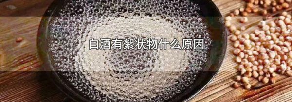白酒有絮状物什么原因