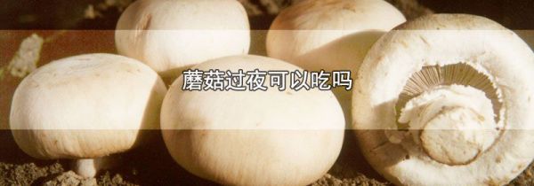 蘑菇过夜可以吃吗