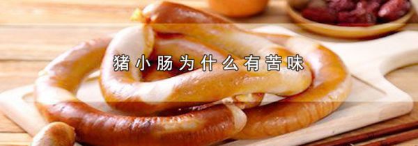 猪小肠为什么有苦味