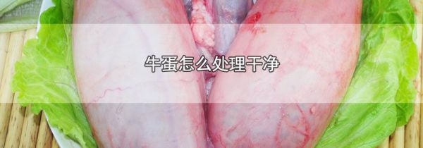 牛蛋怎么处理干净