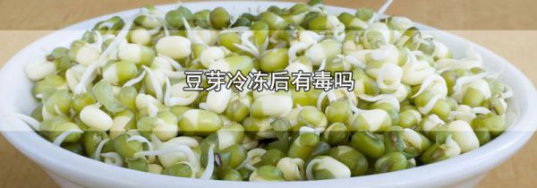 豆芽冷冻后有毒吗