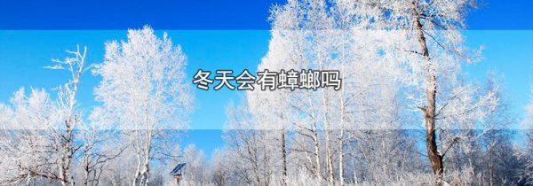 冬天会有蟑螂吗