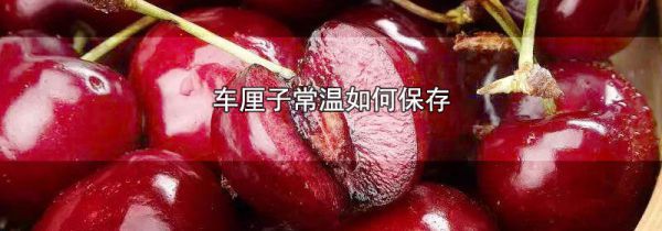 车厘子常温如何保存