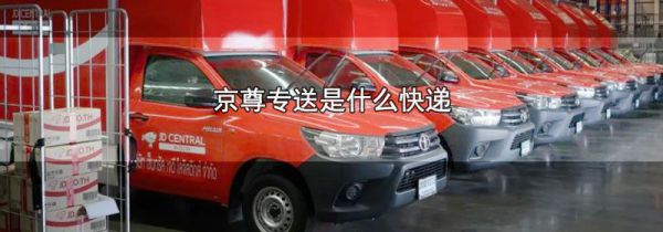 京尊专送是什么快递