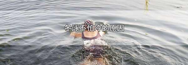 冬泳不怕冷的原因