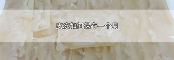 皮冻如何保存一个月