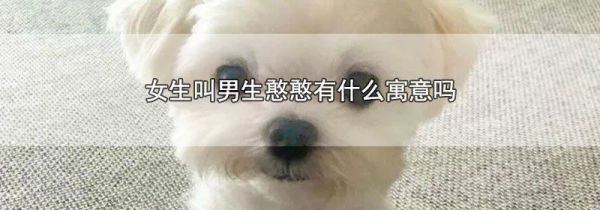 女生叫男生憨憨有什么寓意吗