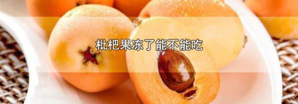 枇杷果冻了能不能吃