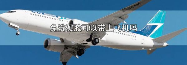 免洗凝胶可以带上飞机吗