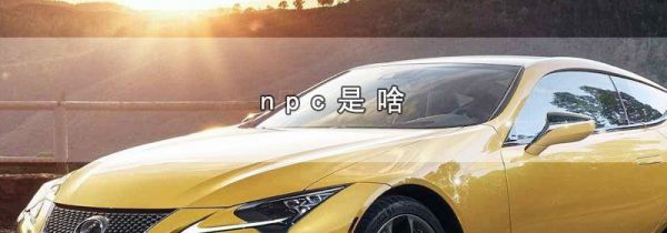 npc是啥