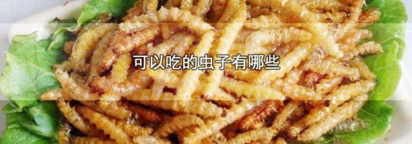 可以吃的虫子有哪些