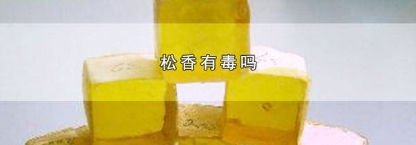 松香有毒吗