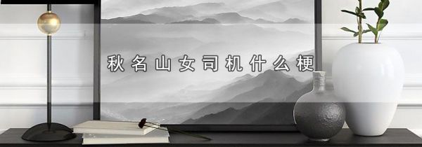 秋名山女司机什么梗