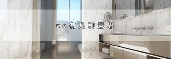 wc有几种意思