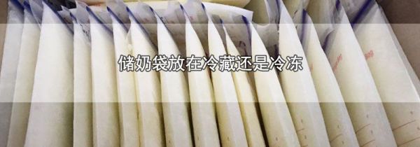 储奶袋放在冷藏还是冷冻