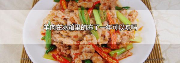 羊肉在冰箱里的冻了一年可以吃吗