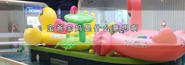 宝爸宝妈是什么意思啊