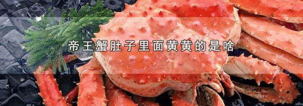 帝王蟹肚子里面黄黄的是啥