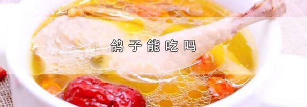 鸽子能吃吗