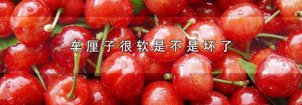 车厘子很软是不是坏了