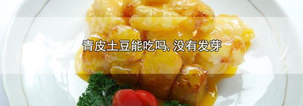 青皮土豆能吃吗,没有发芽
