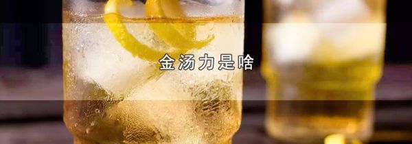金汤力是啥