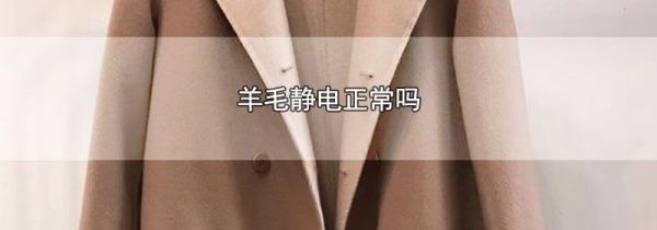 羊毛静电正常吗