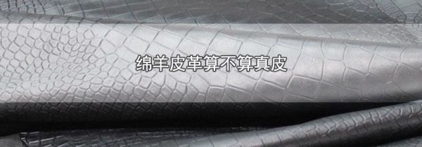 绵羊皮革算不算真皮