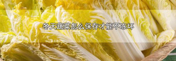 冬天蔬菜怎么保存才能不冻坏