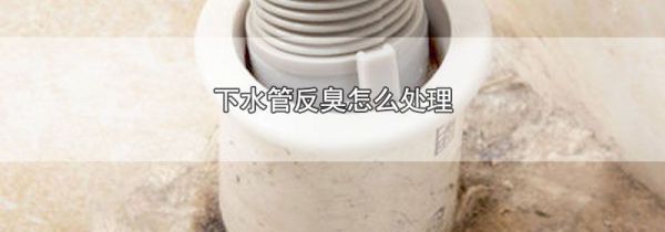 下水管反臭怎么处理
