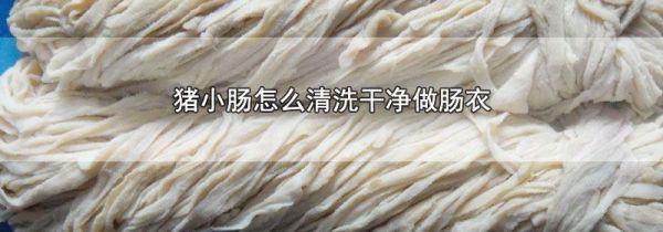 猪小肠怎么清洗干净做肠衣