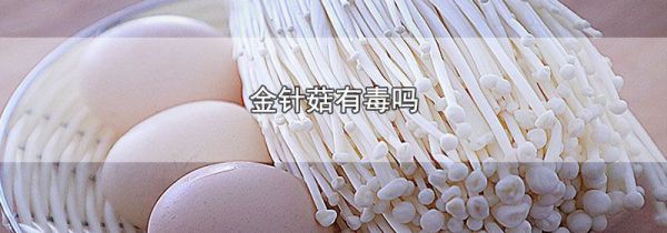 金针菇有毒吗