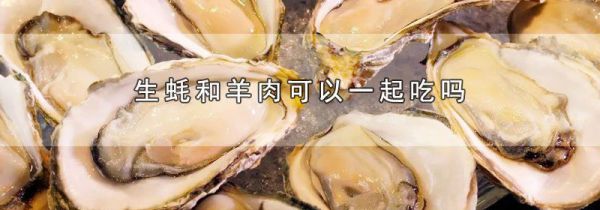 生蚝和羊肉可以一起吃吗