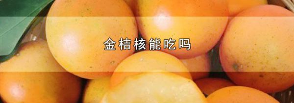 金桔核能吃吗