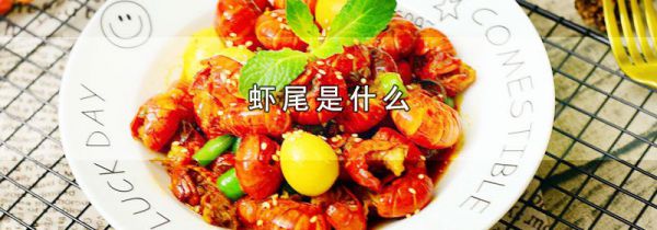 虾尾是什么