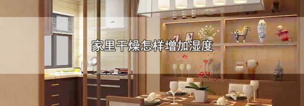 家里干燥怎样增加湿度