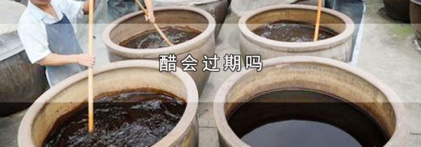 醋会过期吗