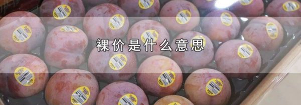 裸价是什么意思