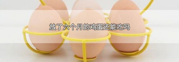 放了六个月的鸡蛋还能吃吗