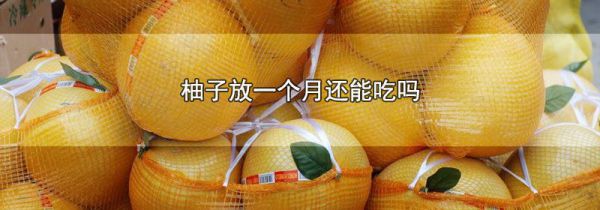 柚子放一个月还能吃吗