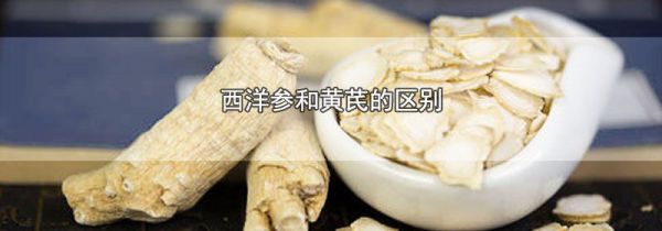 西洋参和黄芪的区别